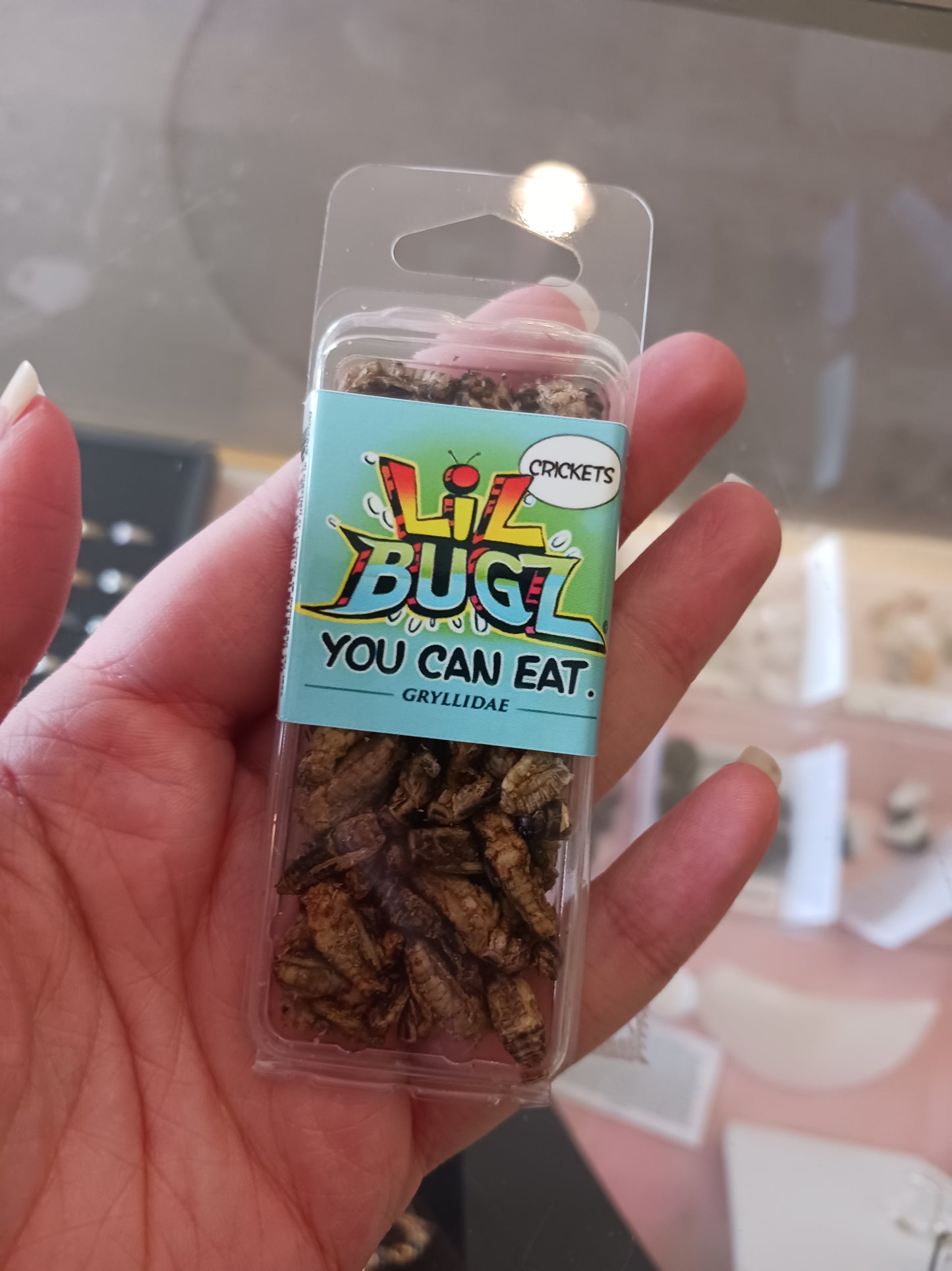 Edible Roasted Crickets - Real Bugs!