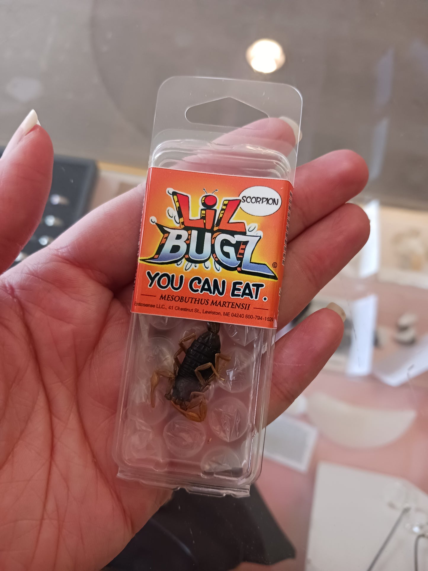 Edible Scorpion - Real Bugs!