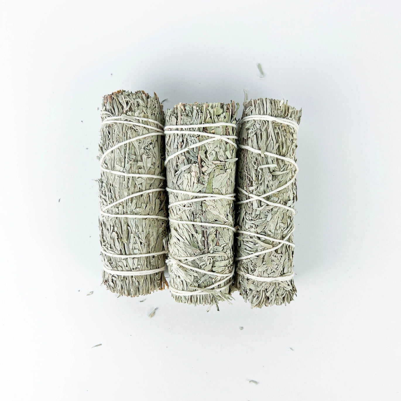 4in Blue Sage Bundle