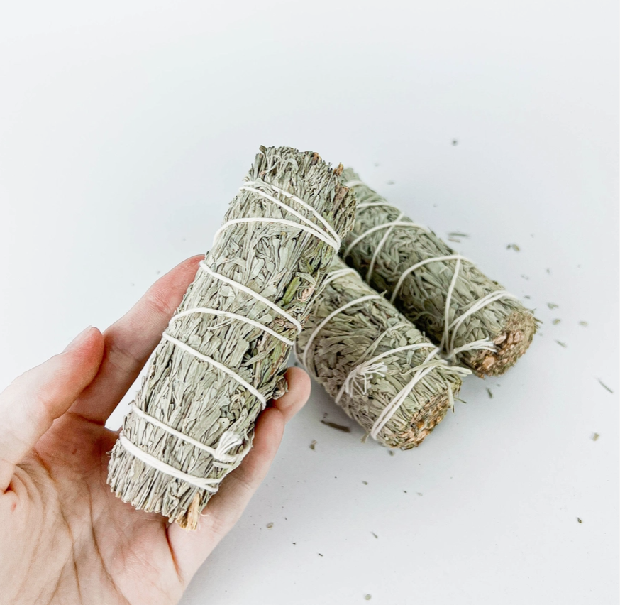 4in Blue Sage Bundle