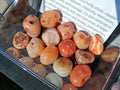 Tumbled Carnelian Crystal