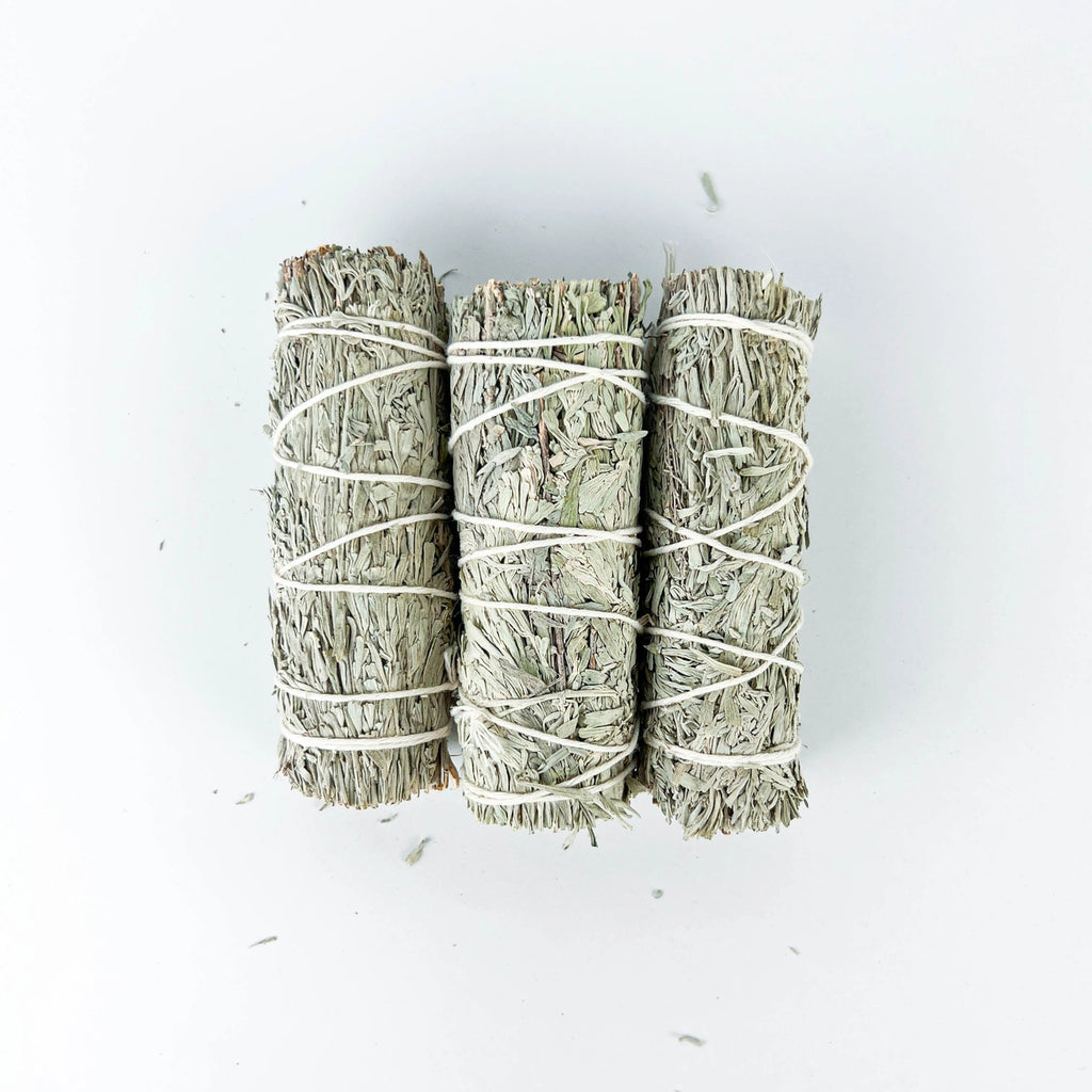 4in Blue Sage Bundle