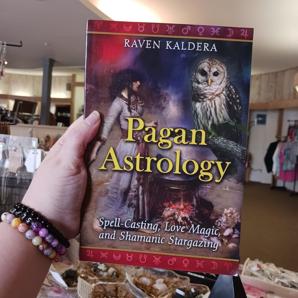 Pagan Astrology (Paperback)