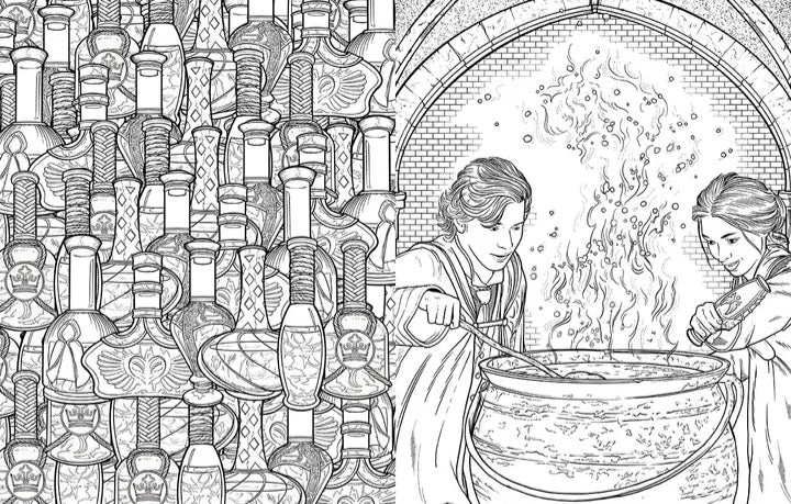 Official Hogwarts Legacy Coloring Book